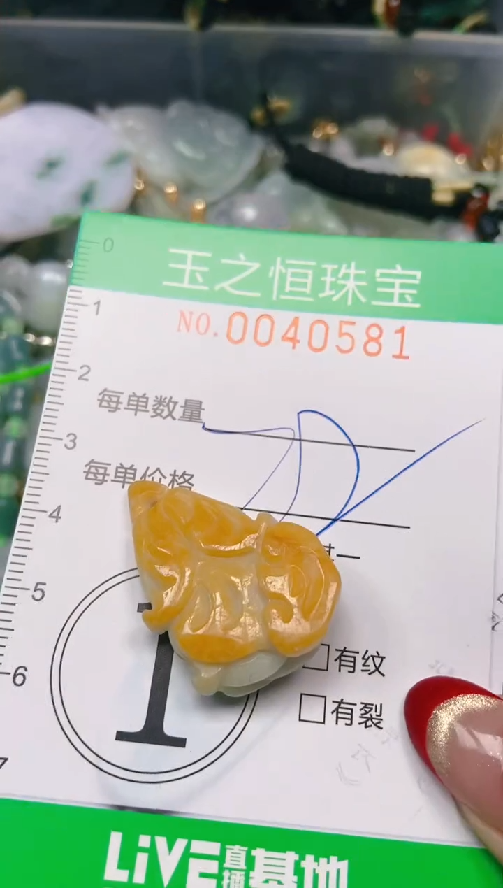 【闪购商品】翡翠颈饰未镶嵌闪购0040581