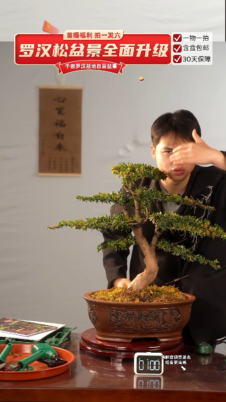 以实际为准专属于   大哥的闪购链接