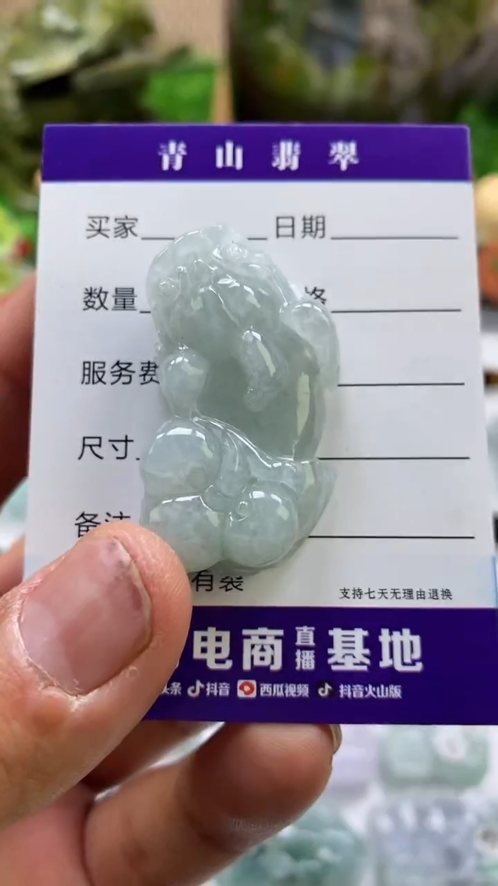 【闪购商品】翡翠颈饰未镶嵌多人如意貔貅