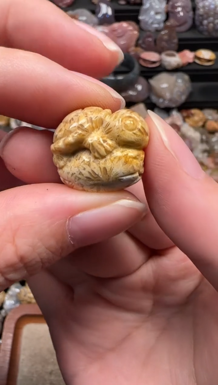 颈饰未镶嵌硅化珊瑚（珊瑚玉）240