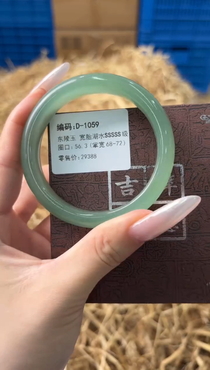 未镶嵌手镯石英质玉D-1059