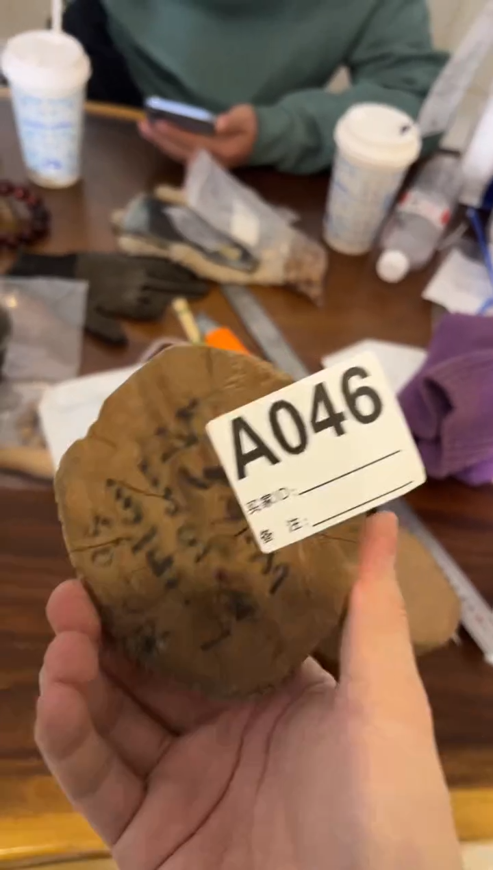 【闪购商品】染料紫檀（血檀）A046斐济檀香