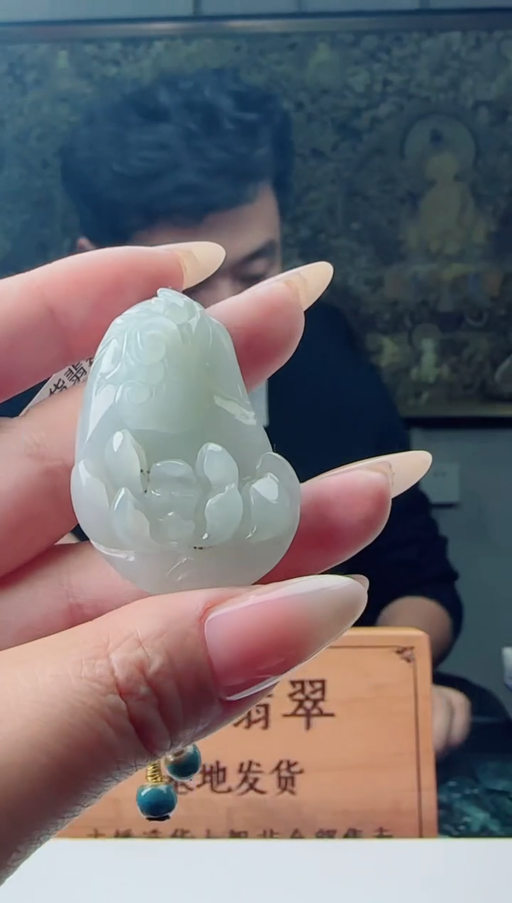 【闪购商品】翡翠颈饰未镶嵌11111111