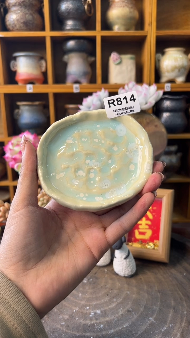 814【多肉花盆多肉盆】