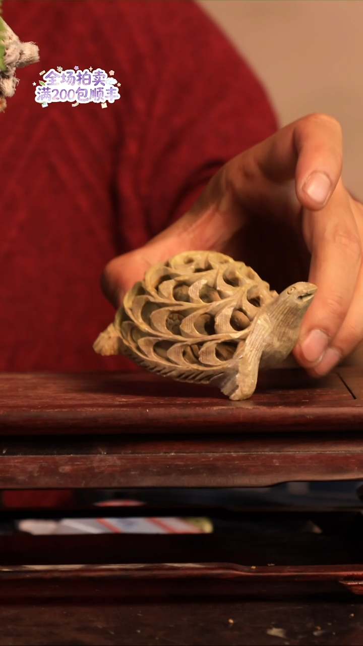 完全开放A47草本植物 不包邮