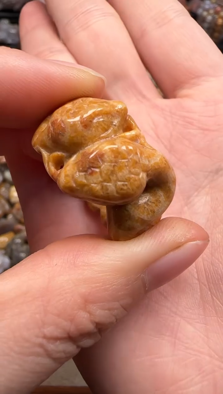 【闪购商品】硅化珊瑚（珊瑚玉）颈饰未镶嵌234