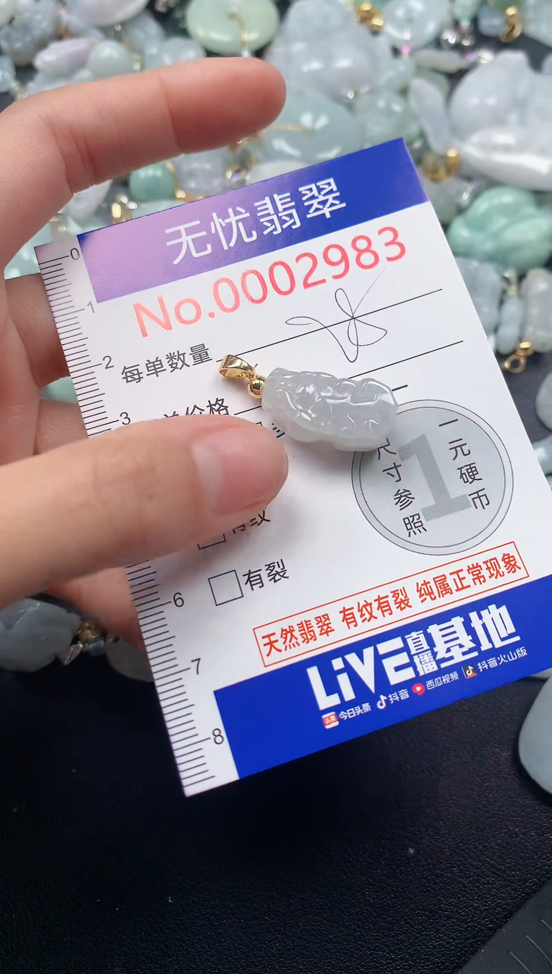 颈饰未镶嵌翡翠2983