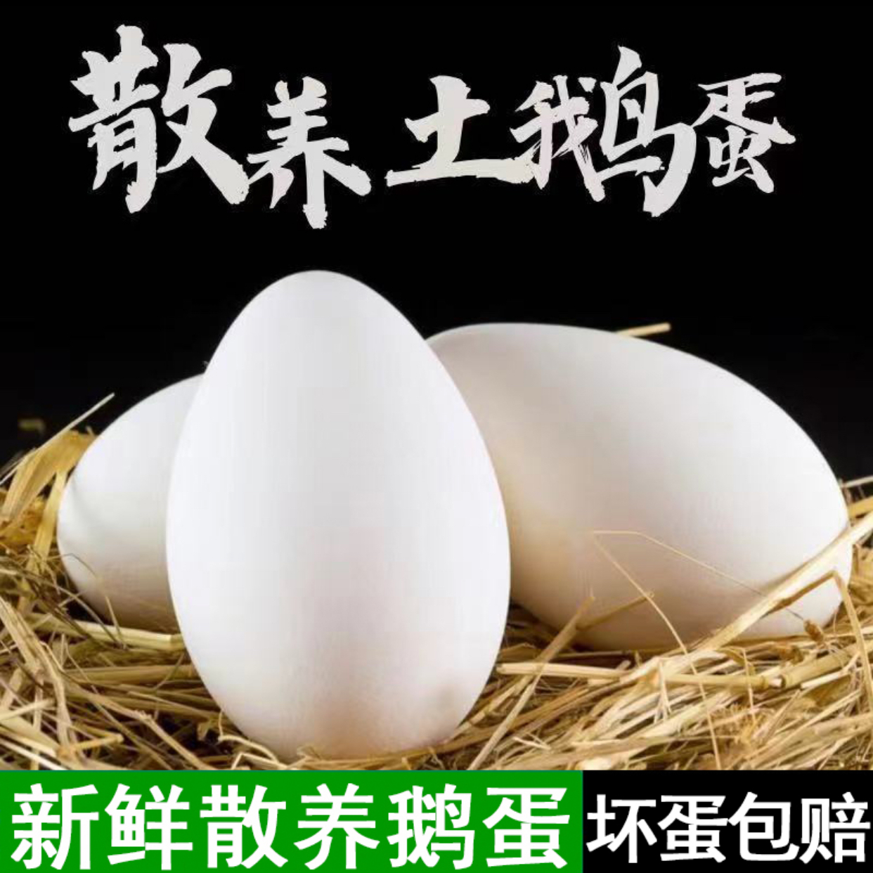 农家散养鹅蛋孕妇土鹅蛋新鲜特大鹅蛋批发一整箱