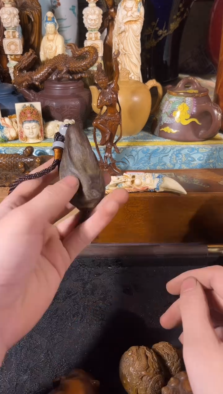 黄杨木11111111111