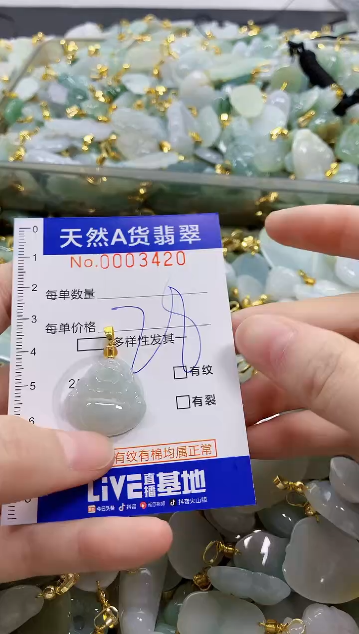 颈饰未镶嵌翡翠天然A货翡翠