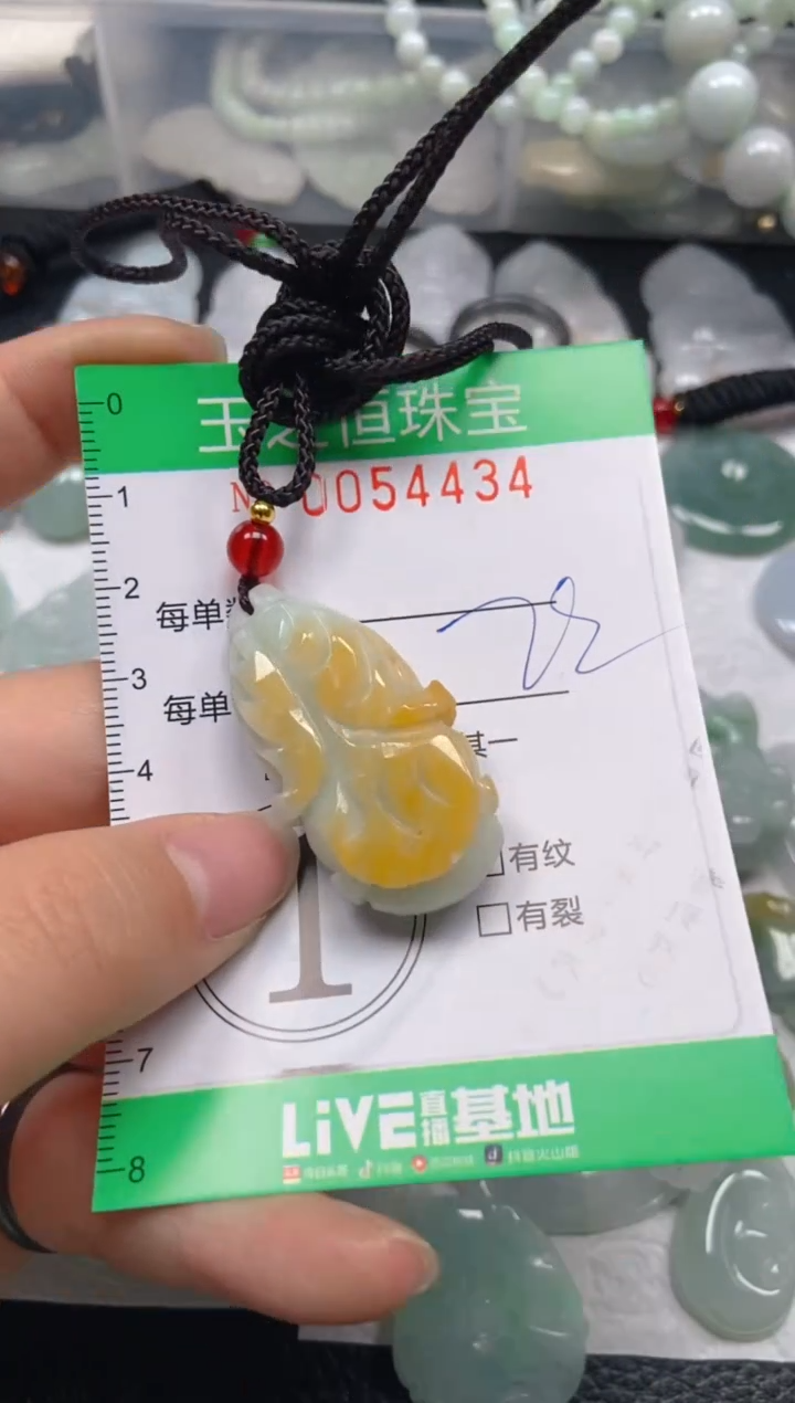 【闪购商品】翡翠未镶嵌颈饰闪购0054434
