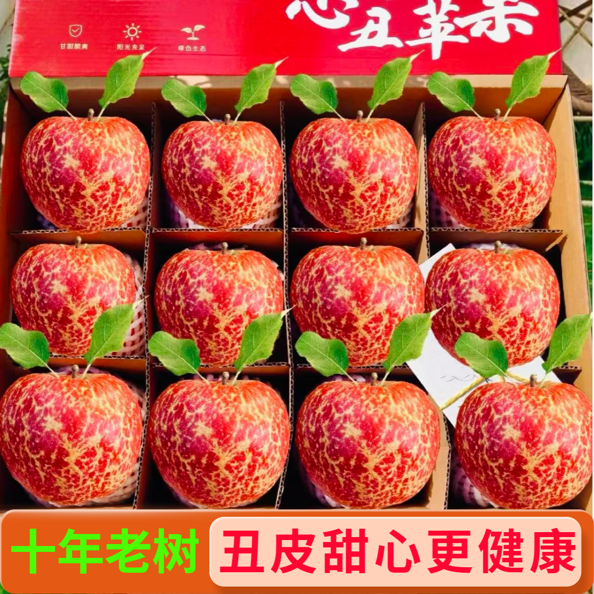 正宗云南昭通冰糖心丑苹果原产地直发现摘脆甜好吃营养多汁肉厚