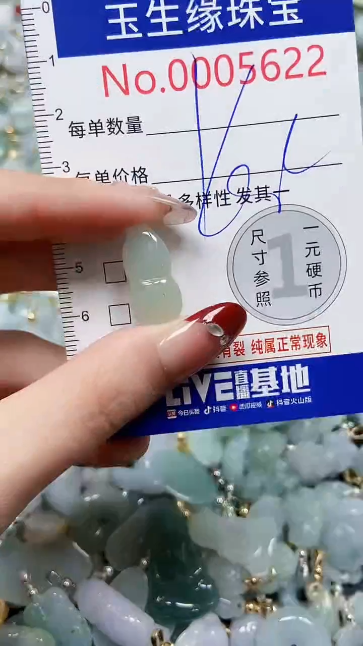 【闪购商品】翡翠颈饰未镶嵌闪购00005622