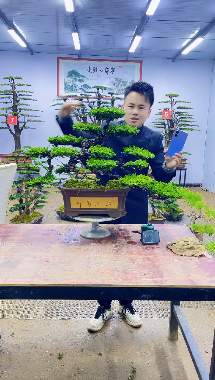 【闪购商品】一物一拍，所见即所得