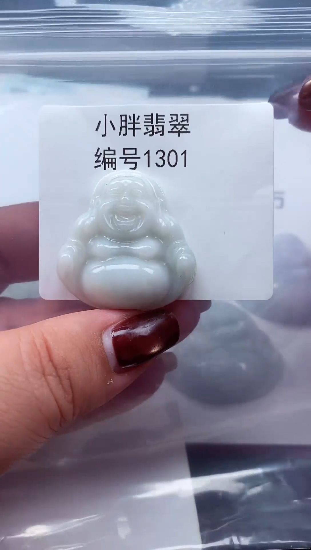 颈饰未镶嵌翡翠缅甸天然A货翡翠1301