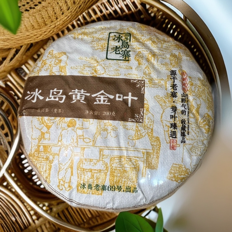 2025年头春【冰岛老寨69号】古树级 黄金叶200克饼 普洱生茶