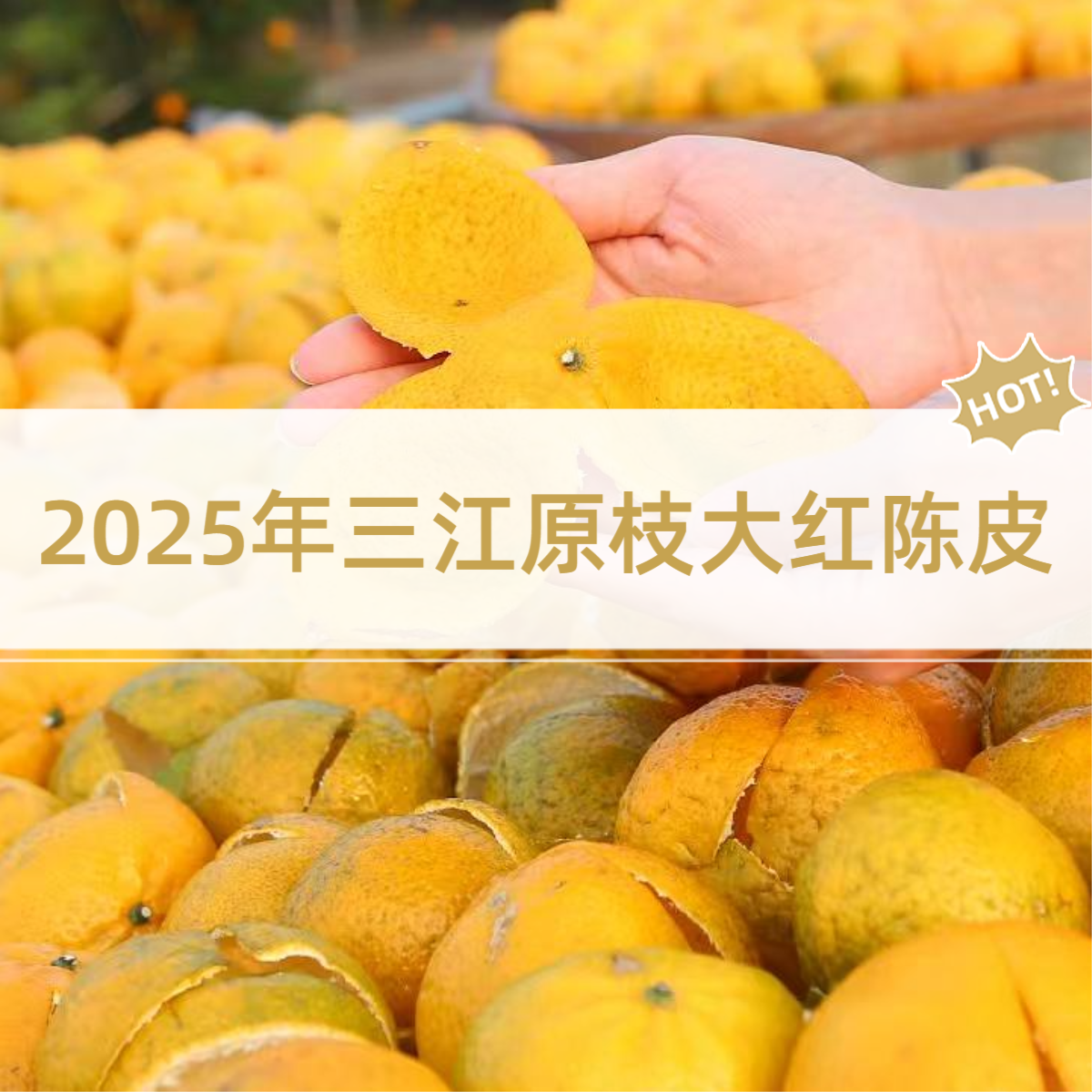 【柒月严选陈皮】2025年三江原枝大红陈皮，新会干仓日晒（代存三年）
