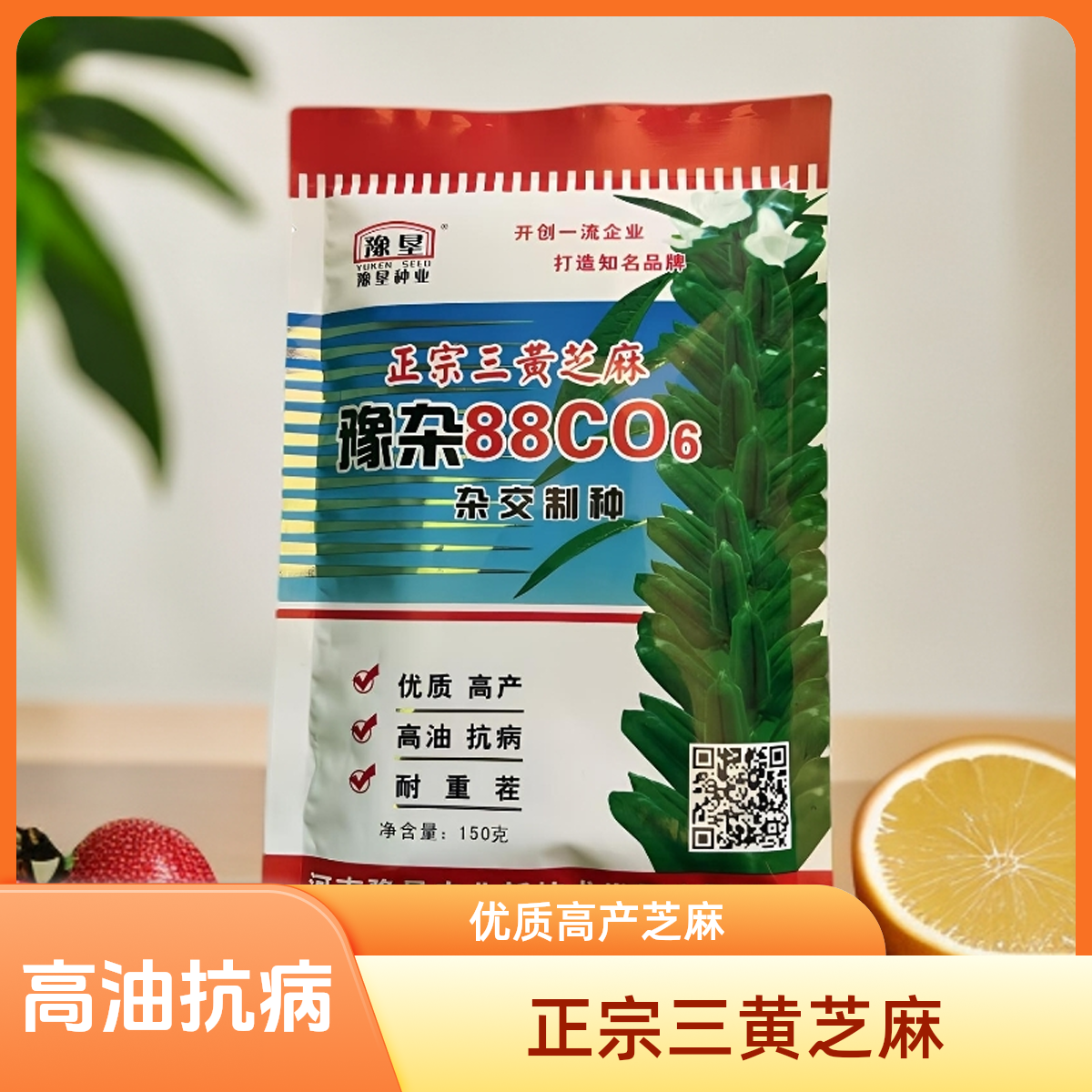 正宗三黄芝麻高油抗病黄杆黄叶黄稍粮油作物种子