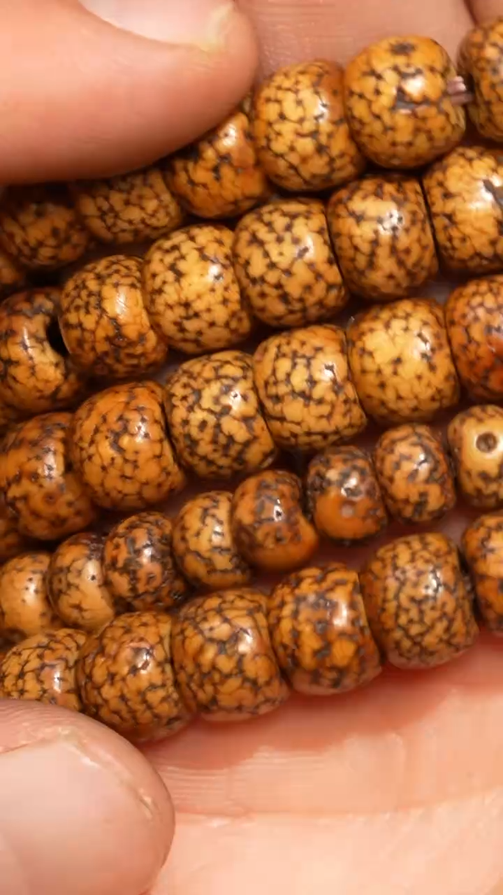 【闪购商品】冲赛康胡子哥，藏传念珠245