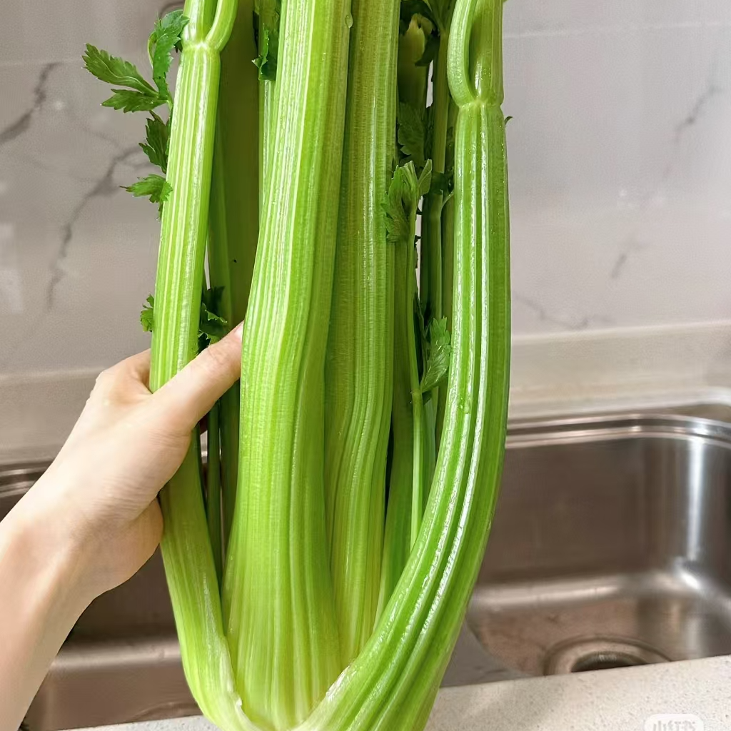 【顺丰包邮】孙姐新鲜西芹榨汁西芹水果西芹芹菜新鲜蔬菜低脂代餐