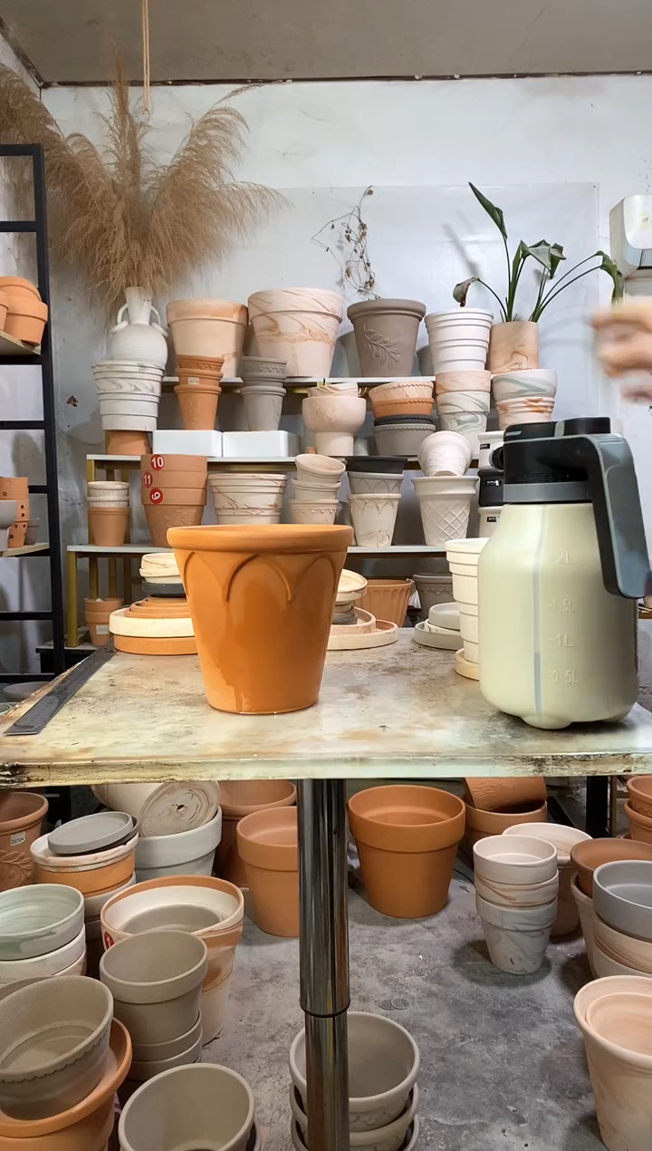 18*17红陶皇冠 1盆无托