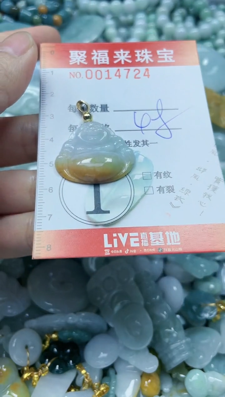 【闪购商品】翡翠颈饰未镶嵌闪购0014724