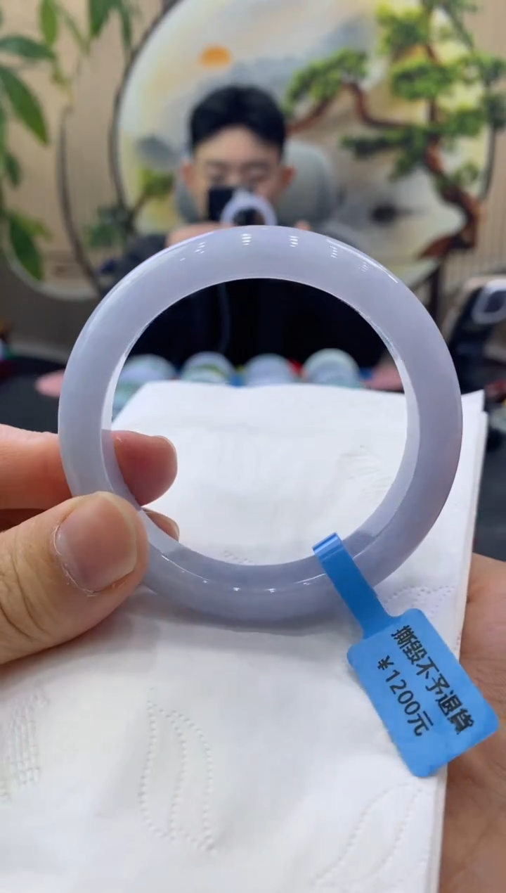 未镶嵌手镯翡翠9294