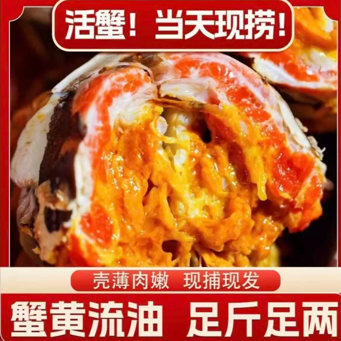 【活蟹】洪泽湖大闸蟹全母蟹（3.5-3.2两）6送4共10只装包邮到家