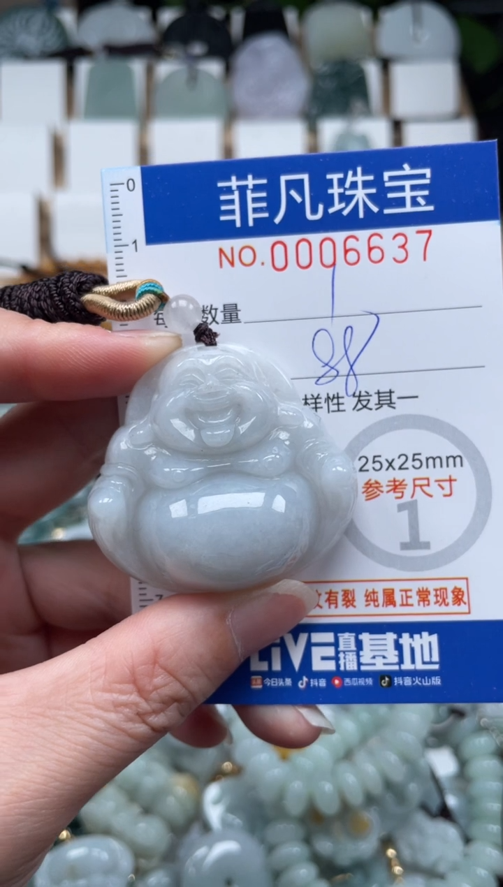 翡翠未镶嵌颈饰00..6637
