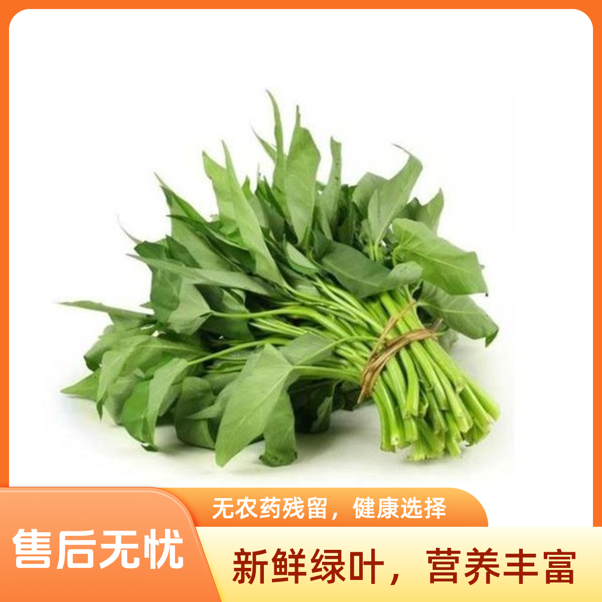 空心菜空心菜500g