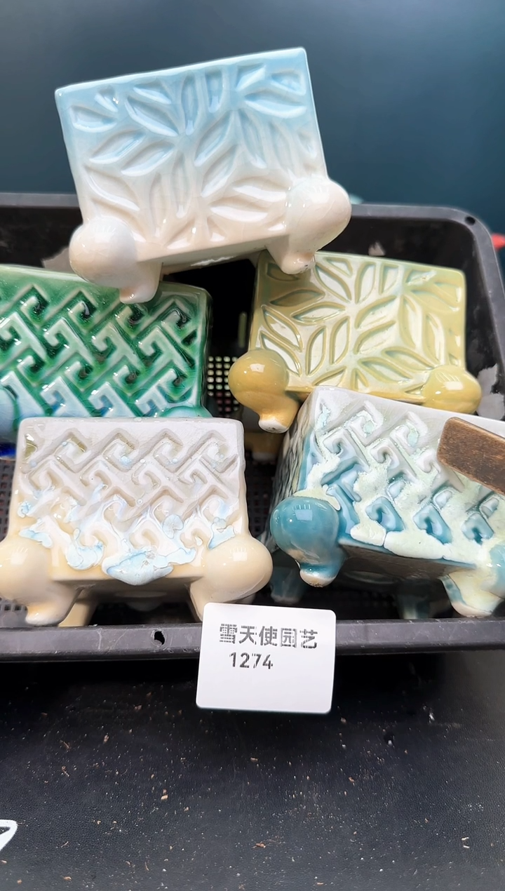 12 74 小蛙腿盆 5 个默认微瑕