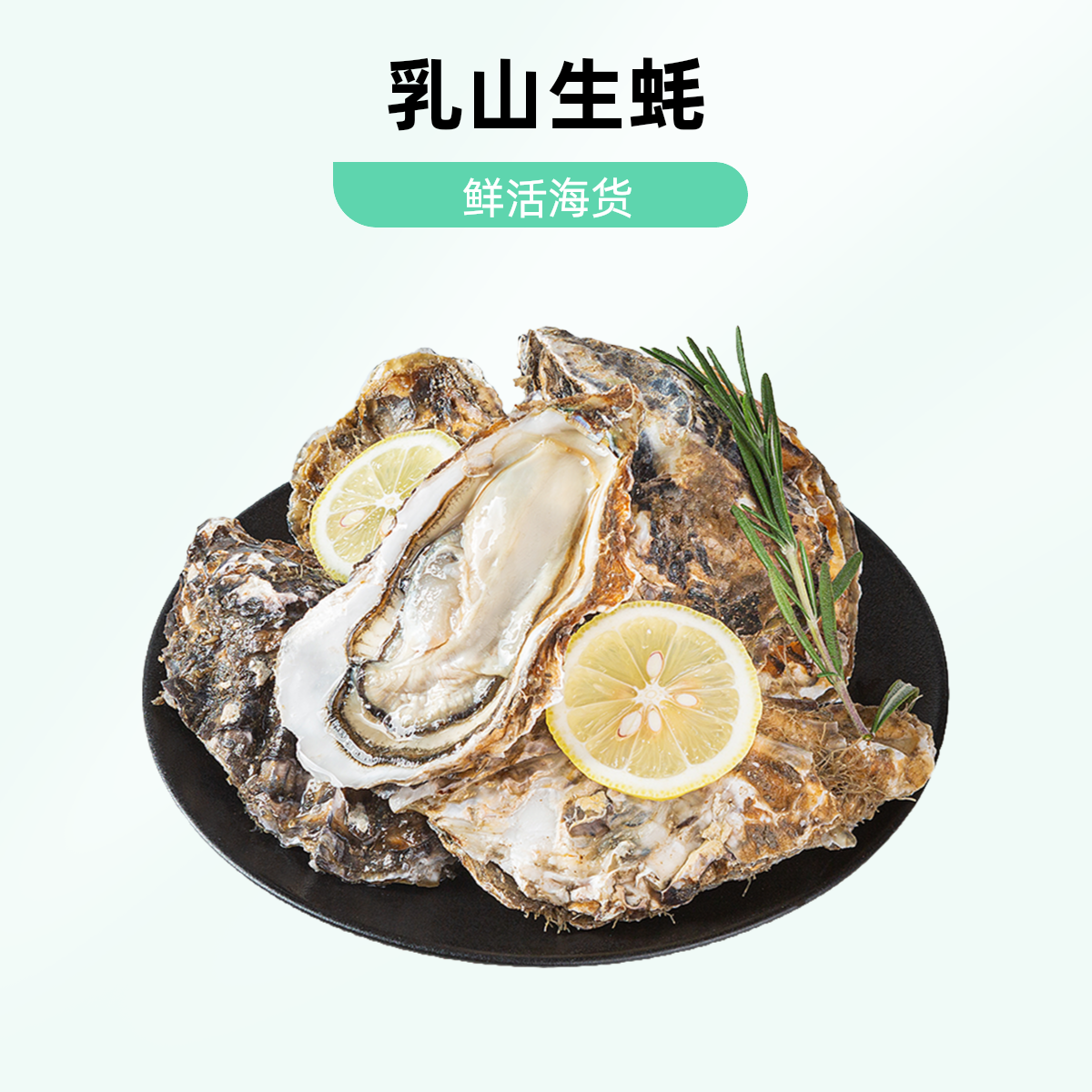 鲜活乳山生蚝5斤/10斤