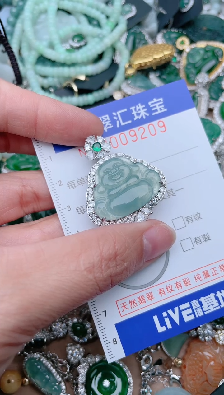 【闪购商品】翡翠颈饰未镶嵌9809......