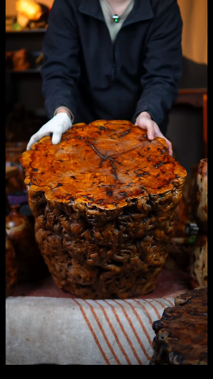 枣木百年雷击枣木墩子（高40，直径48）