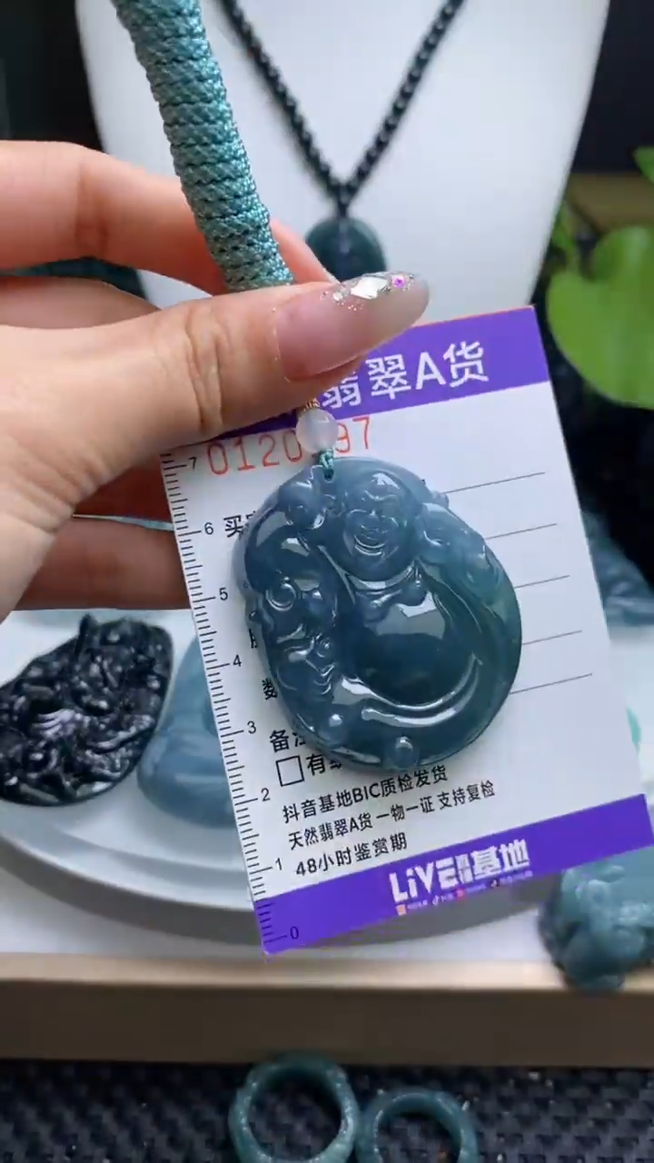 【闪购商品】翡翠未镶嵌颈饰         