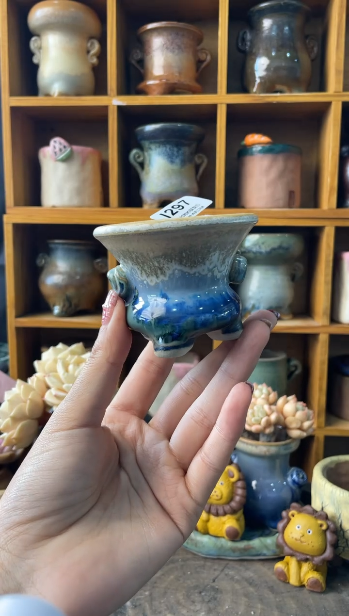 297内口6【多肉花盆多肉盆】