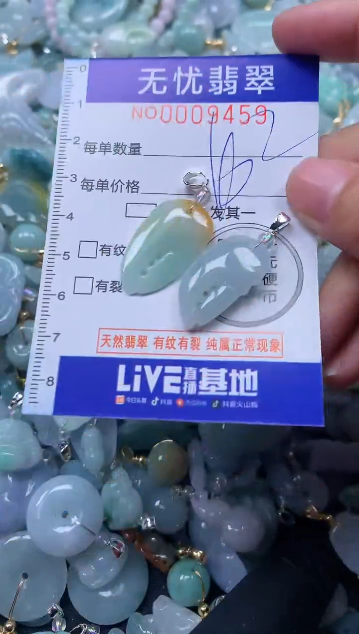 颈饰未镶嵌翡翠9459