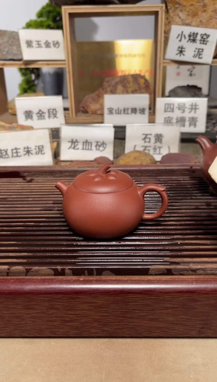 茶壶紫砂日**山红皮龙茄瓜