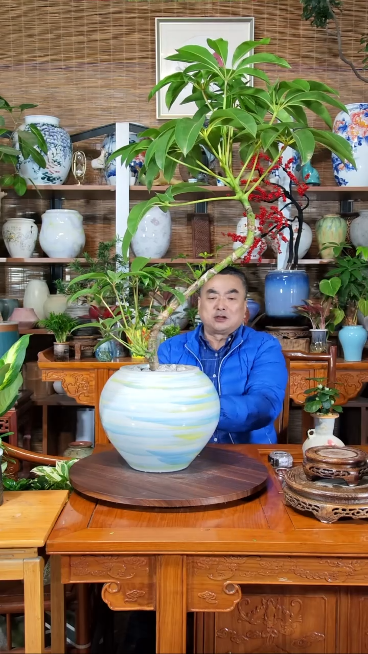 无花朵枕*生水之韵水培保萝