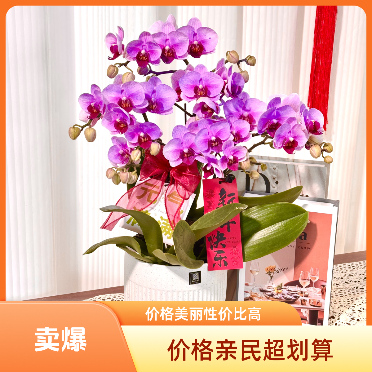 【宝贝】粉紫色系蝴蝶兰鲜花组盆 开花株  年宵花  送人送礼  懒人植物