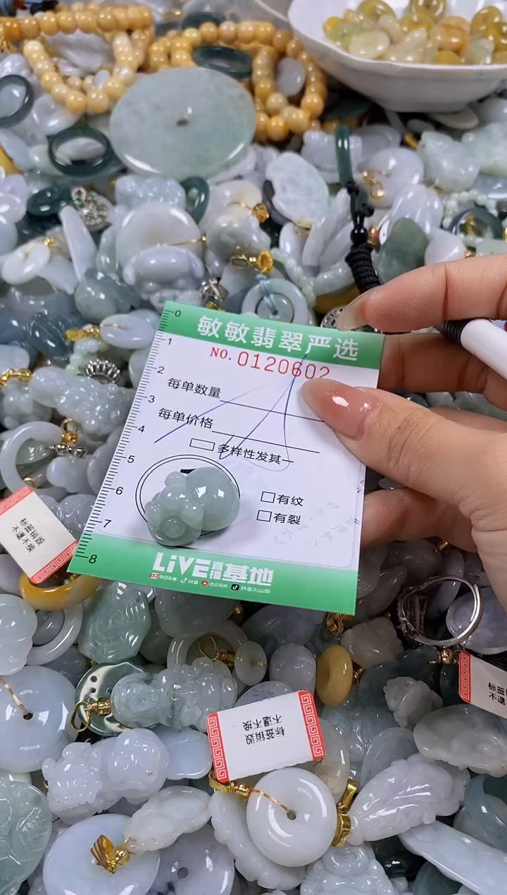 【闪购商品】翡翠颈饰未镶嵌闪购0120602多样性发其一