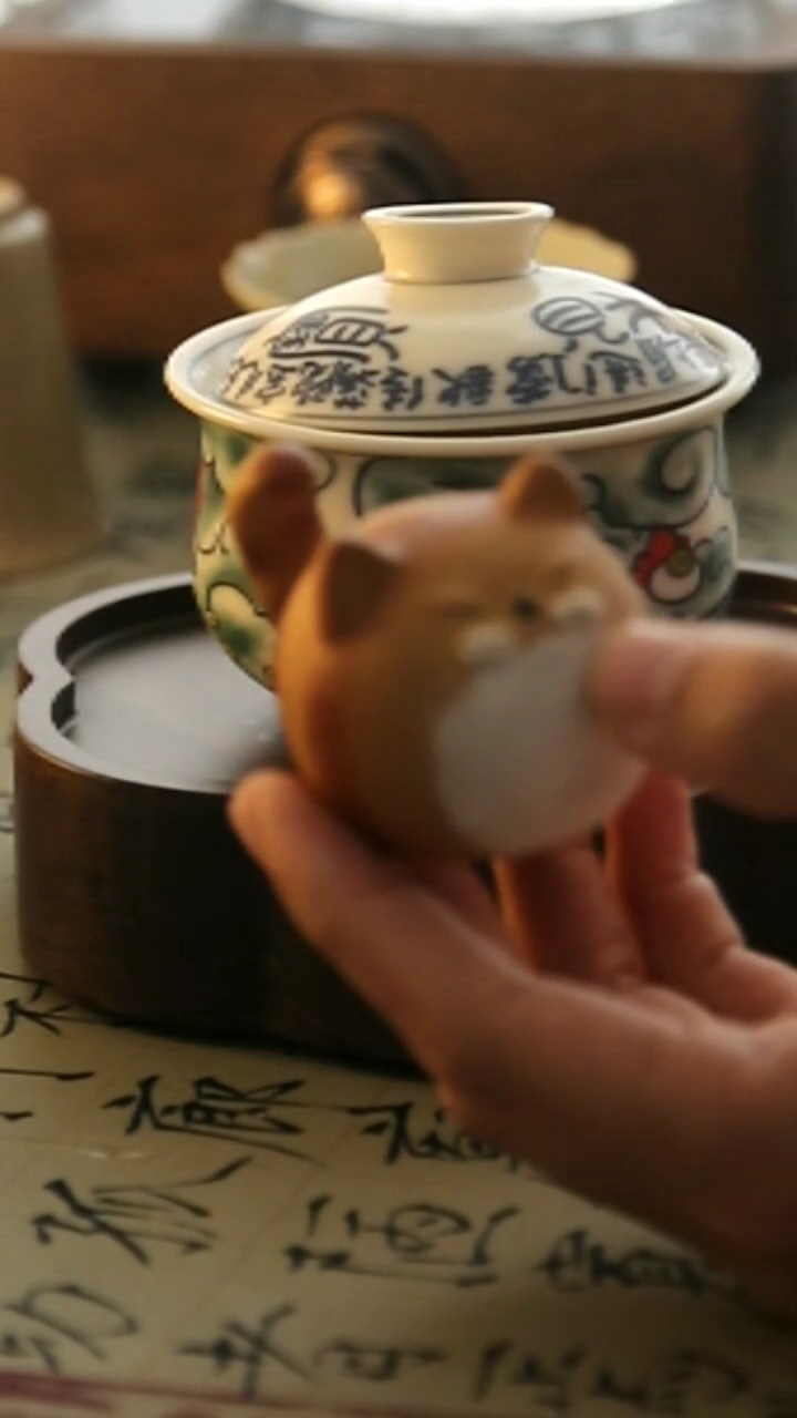 【闪购商品】大炮专享oooooo胖橘猫噢噢噢噢