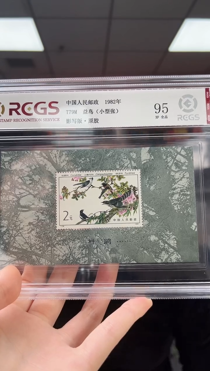 T79M 益鸟 邮票 小型张 精大盒 RCGS评级 原胶