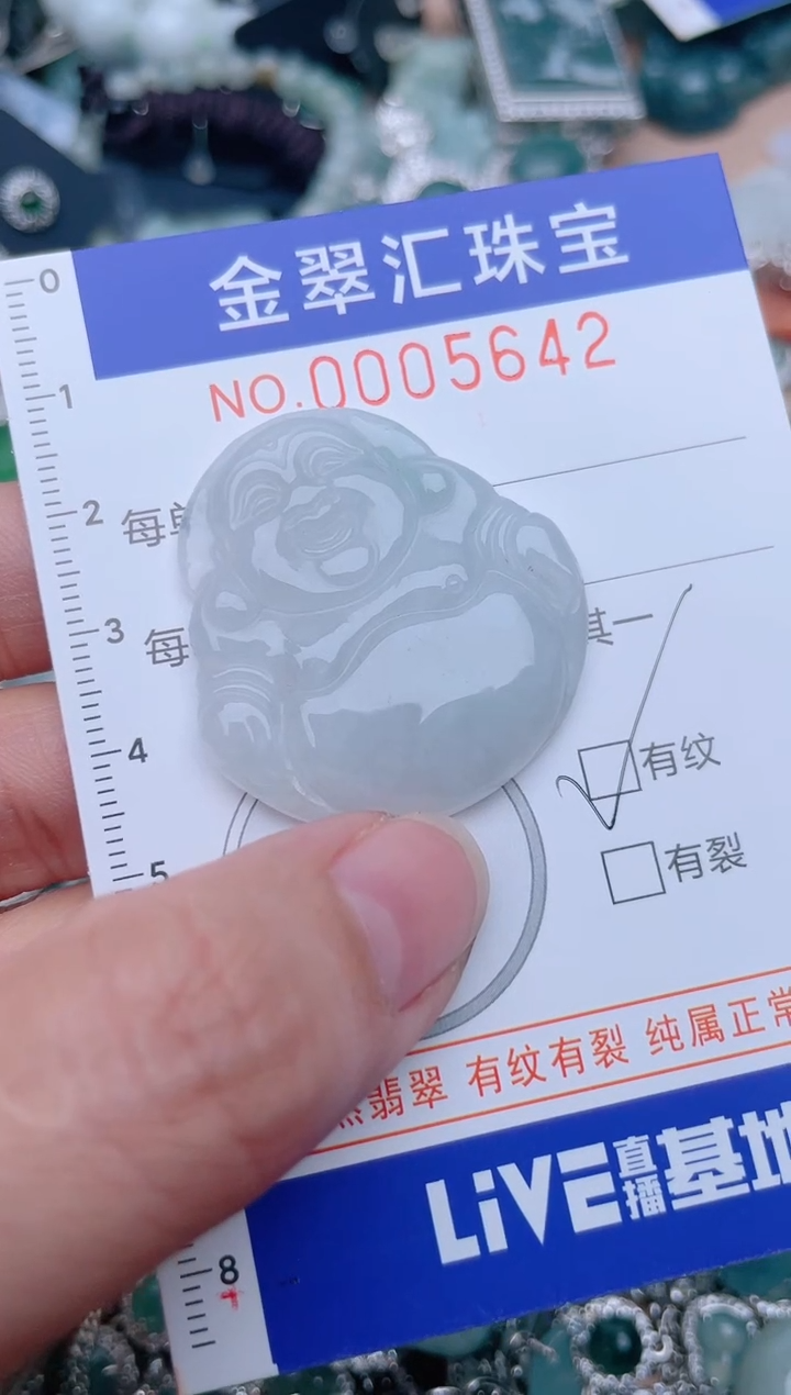 翡翠未镶嵌颈饰5642.....1