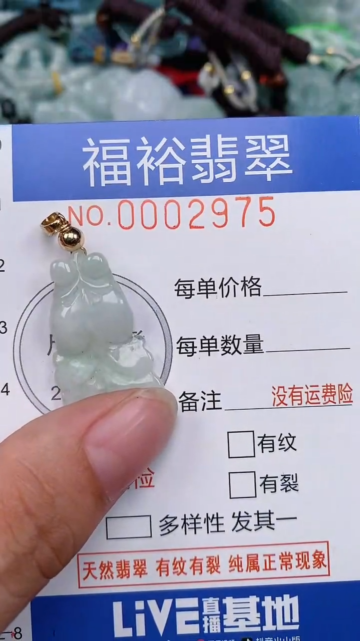 翡翠未镶嵌颈饰...0002975