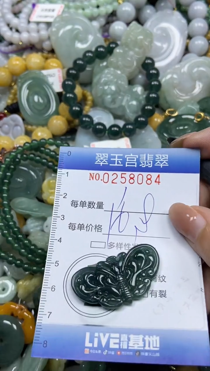 颈饰未镶嵌翡翠闪购C0258084