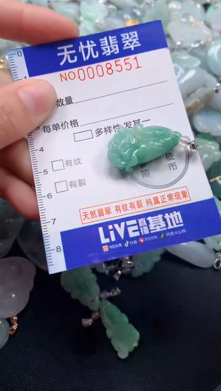 颈饰未镶嵌翡翠8551