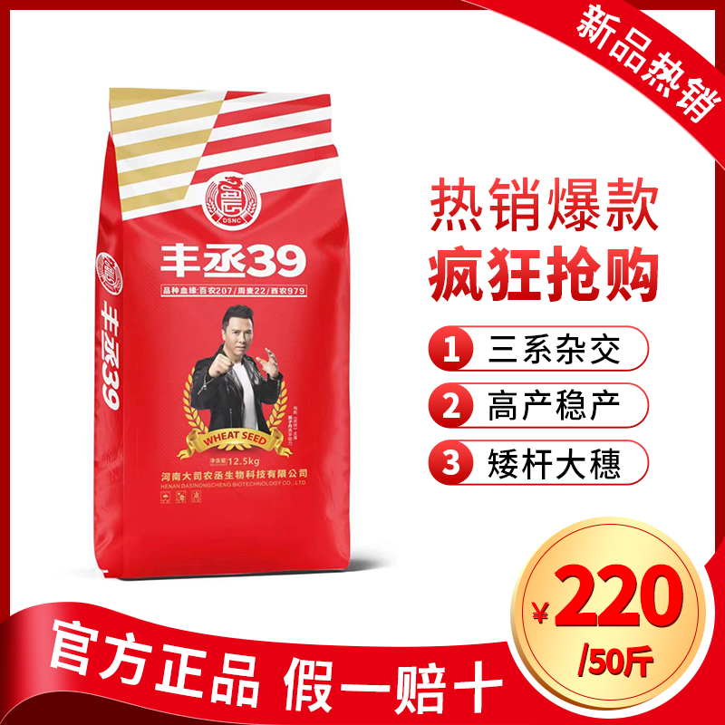 丰丞39小麦种 矮杆大穗高产小麦