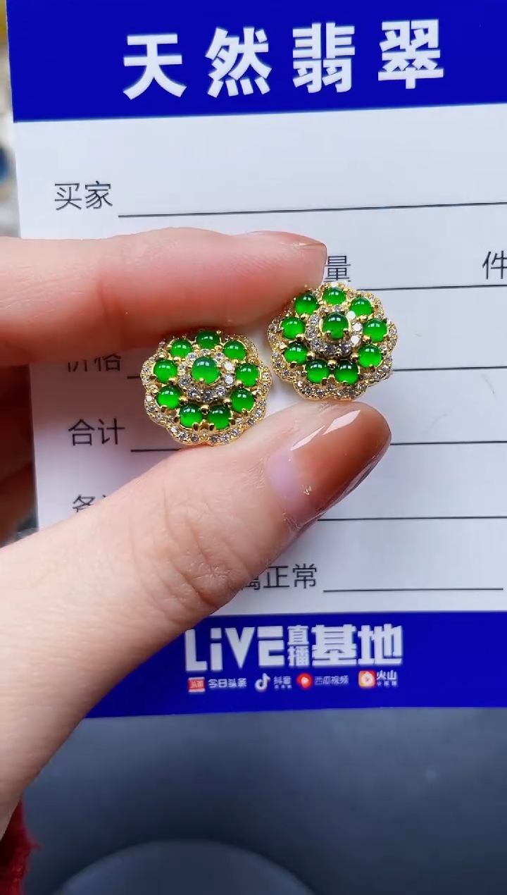 银S925镶嵌翡翠耳饰293