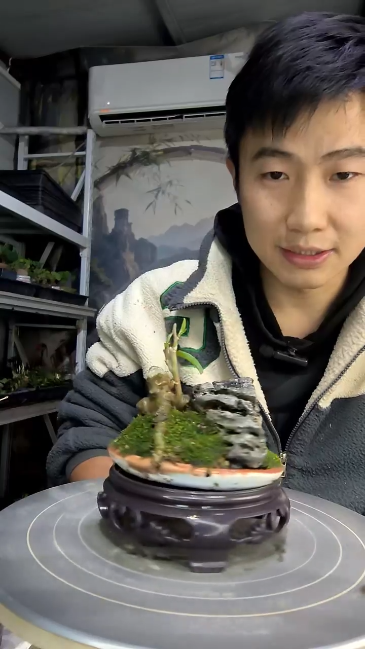 ?****?中青园艺一物一拍花464